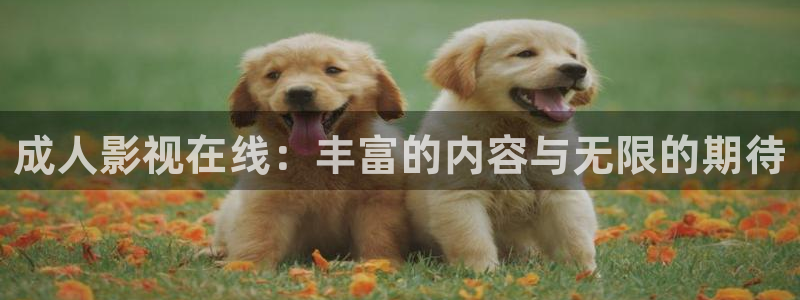 668影视：成人影视在线：丰富的内容与无限的期待