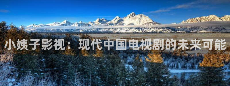 yy6688私人影院：小姨子影视：现代中国电视剧的未来可能