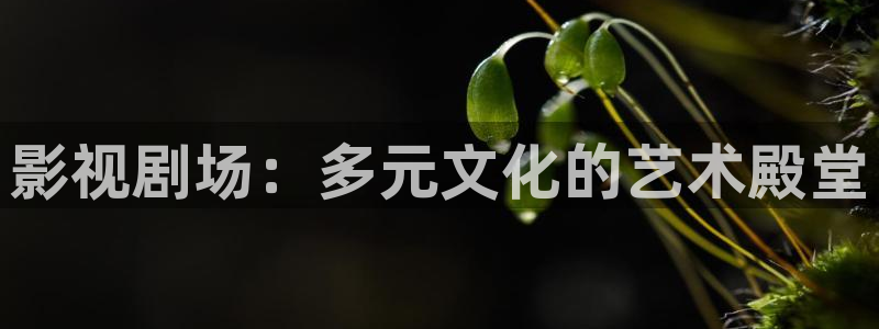 668私人影院：影视剧场：多元文化的艺术殿堂