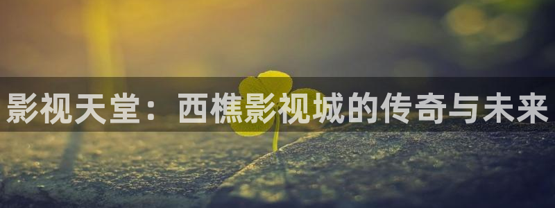 568影院：影视天堂：西樵影视城的传奇与未来