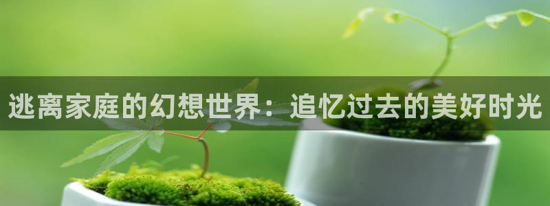 yy4680私人影院：逃离家庭的幻想世界：追忆过去的美好时光