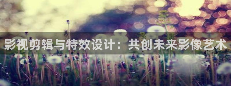 dy768影院免费观看电视剧：影视剪辑与特效设计：共创未来影像艺术