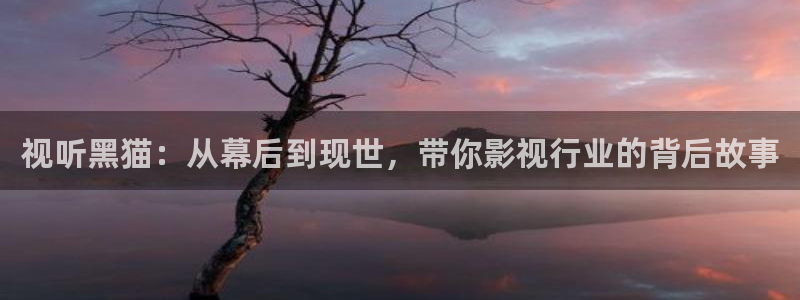 免费播看完整大片686视频：视听黑猫：从幕后到现世，带你影视行业的背后故事