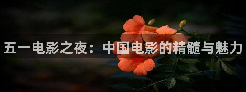 68电影：五一电影之夜：中国电影的精髓与魅力